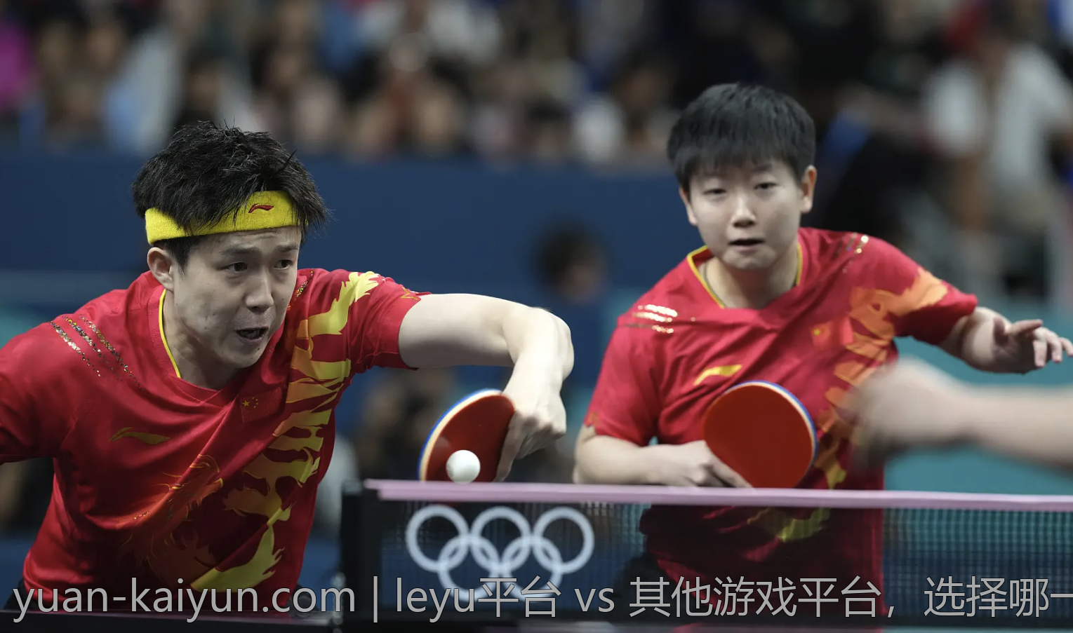 leyu平台 vs 其他游戏平台，选择哪一个更好？