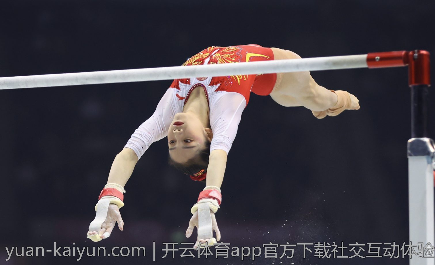 开云体育app官方下载社交互动体验