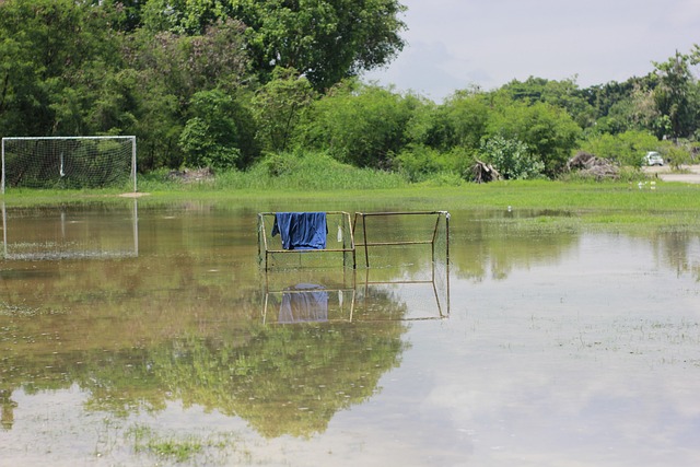 根廷对阵英 根廷对阵英
