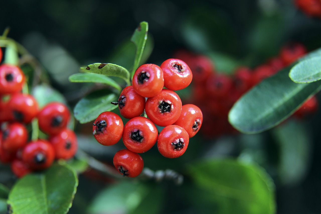 一些深层次 一些深层次