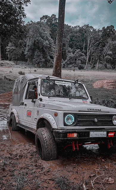 球迷们无疑 球迷们无疑