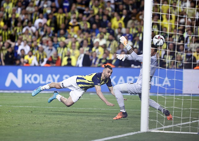 来减少烟草 来减少烟草