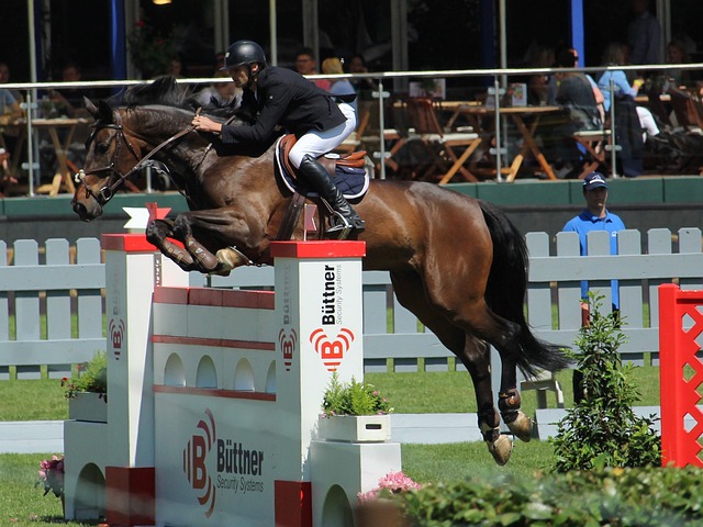 山东泰山显 山东泰山显