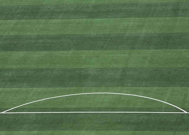 赛中的线路 赛中的线路