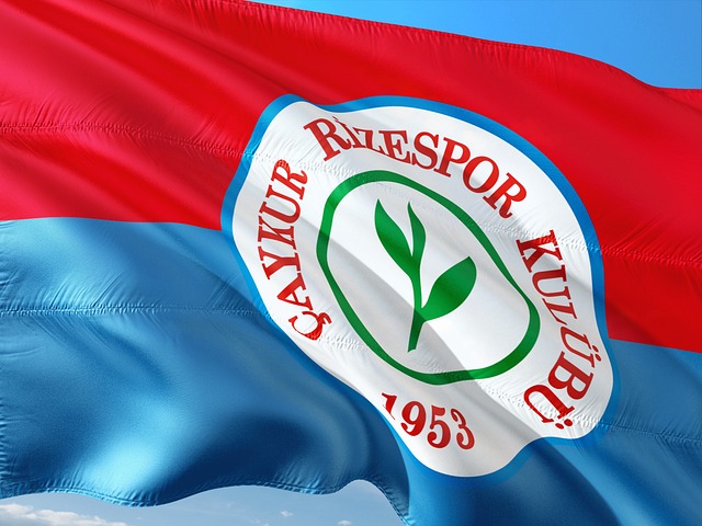 期待在未来 期待在未来