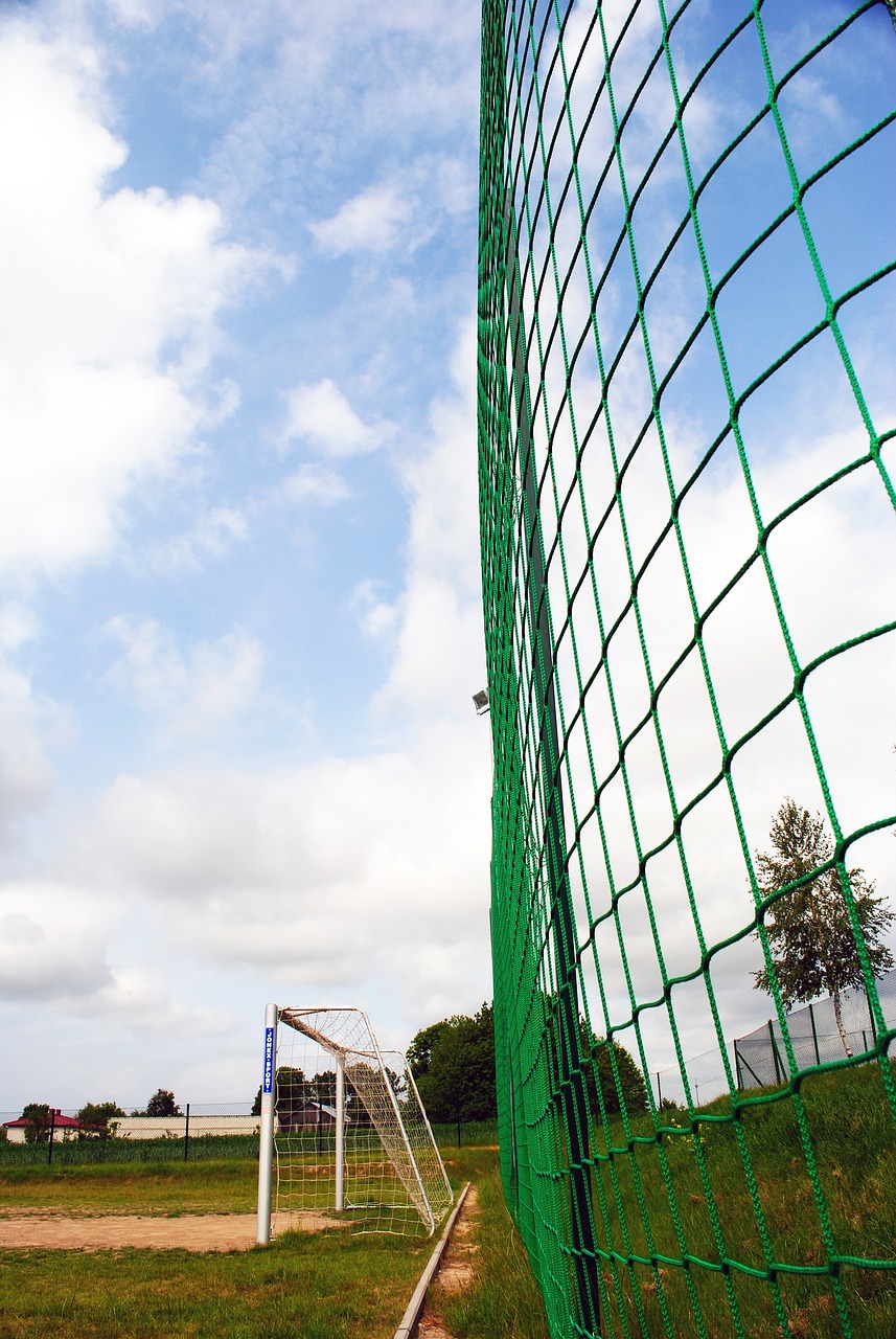 我们有理由 我们有理由