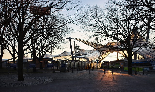 间捕捉运动 间捕捉运动