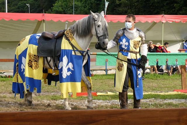 赛胜负的X 赛胜负的X