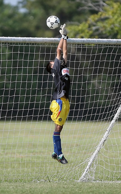 它的魅力 它的魅力